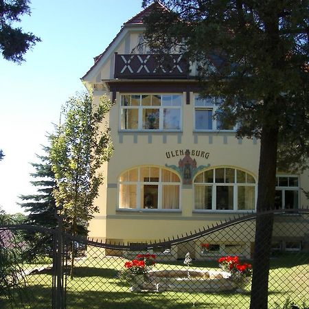 دريسدن Hotel-Appartement-Villa Ulenburg المظهر الخارجي الصورة